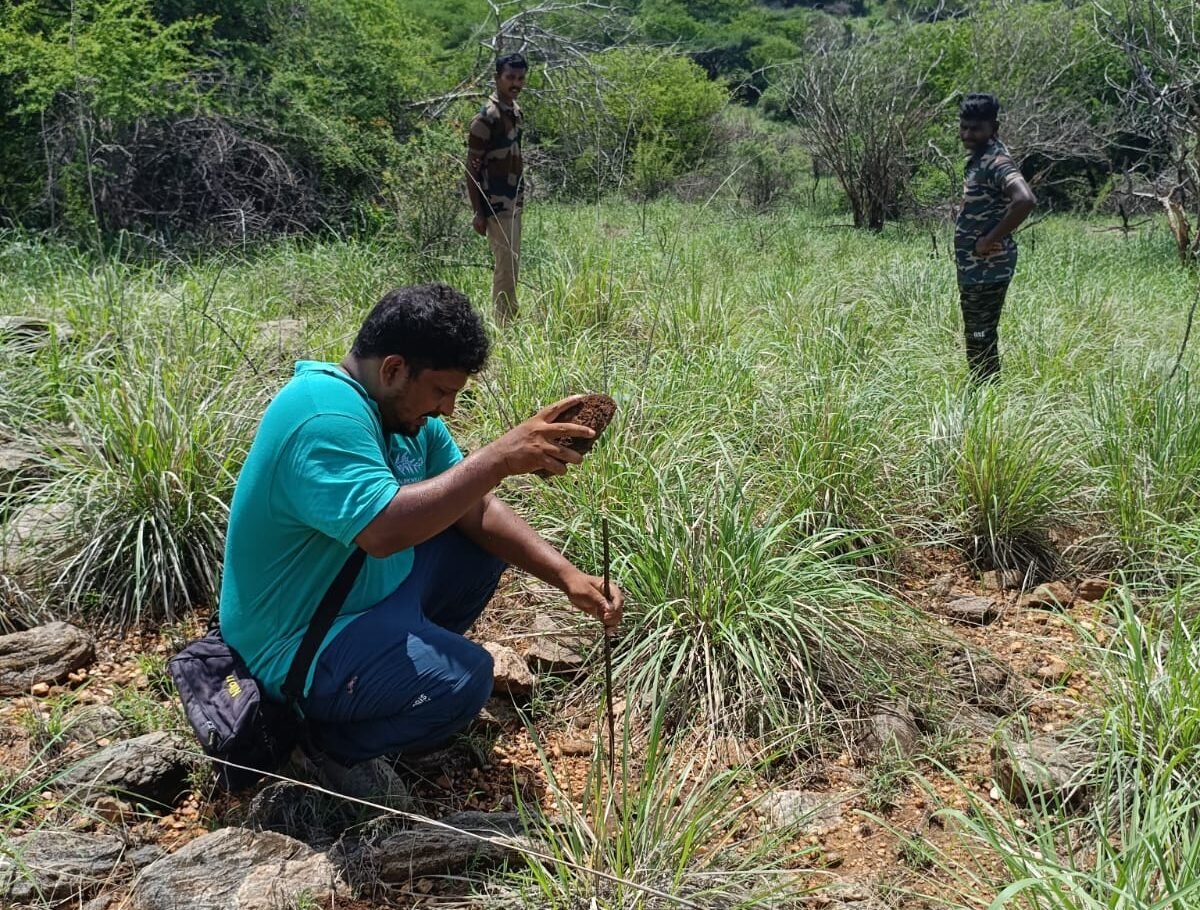 Grounding Restoration in Science: Field Survey at Sanjeevi Hills