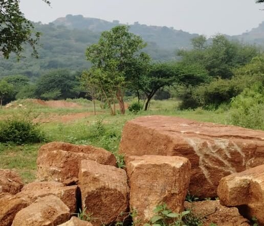 Laterite and Red Sandstones at Sanjeevi Hills