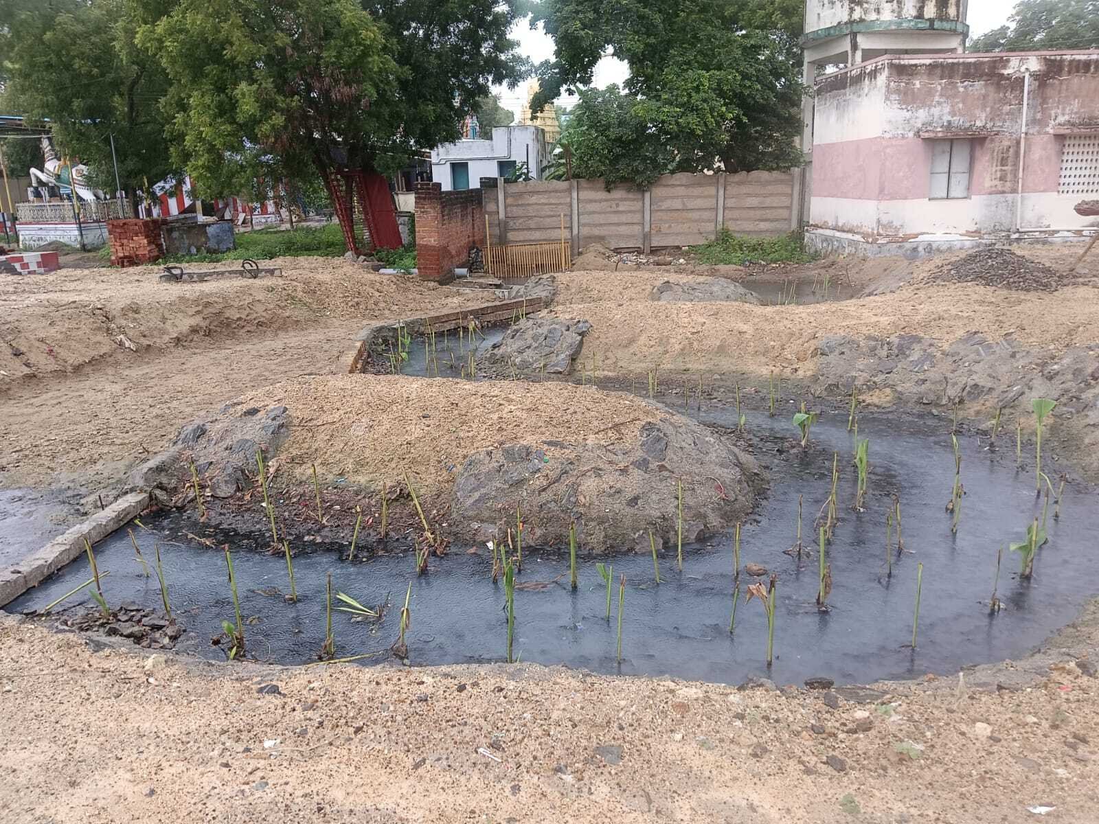 Natural Sewage Filter Beds Transform Vettai Perumal Kovil Kanmai