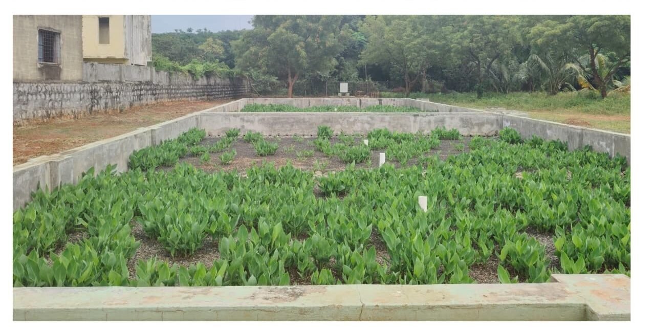 DEWATS Nature-Based Wastewater Treatment at the Polytechnic Hostel