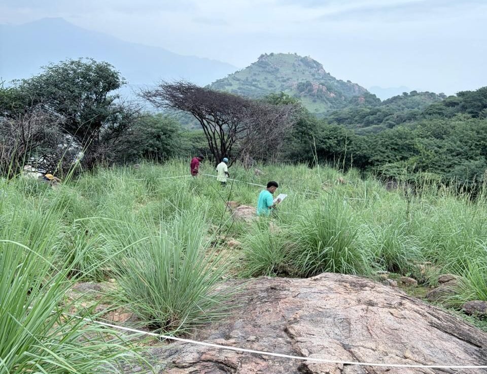 Field Survey for Sanjeevi Malai Restoration