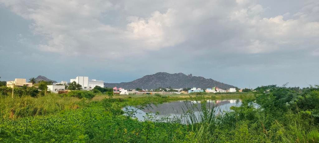Periyathikulam: Sustaining Fields and Groundwater in Rajapalayam