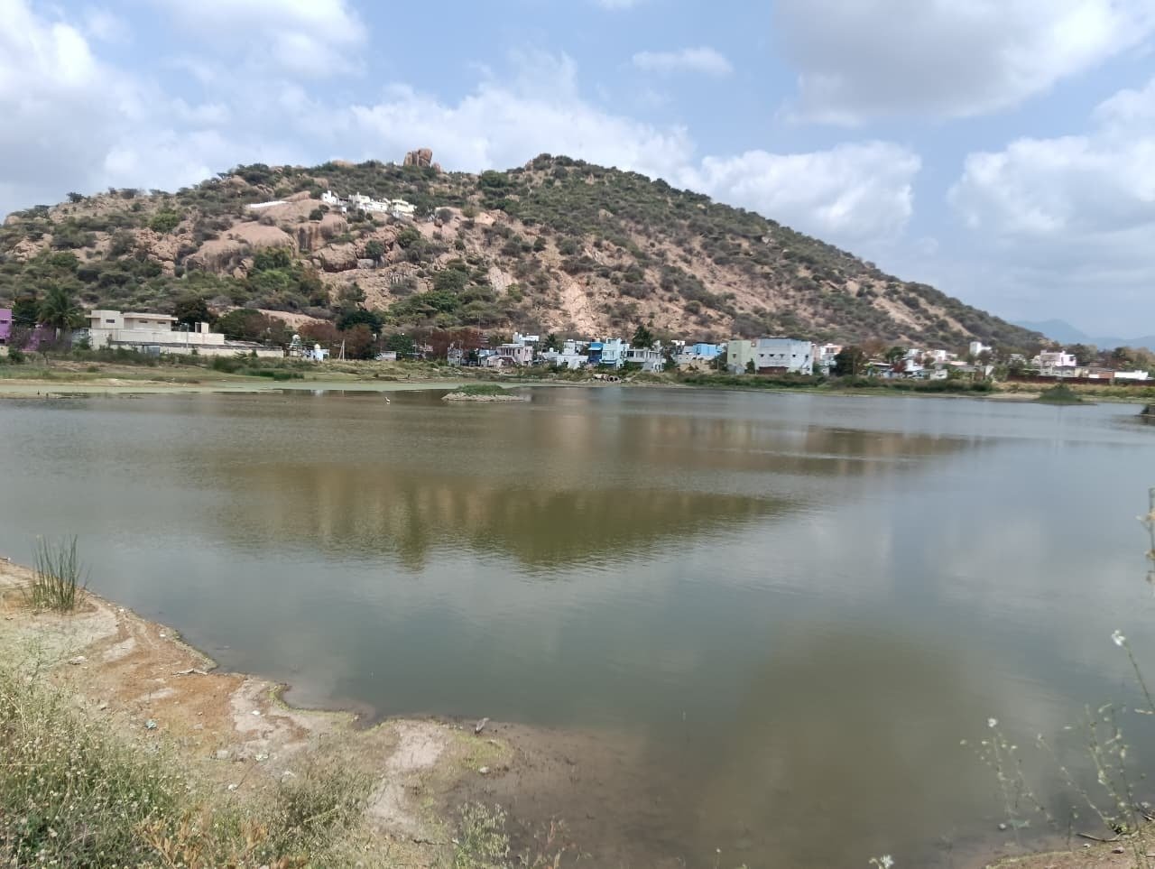 The Ecological Impact of Kanmai Restoration