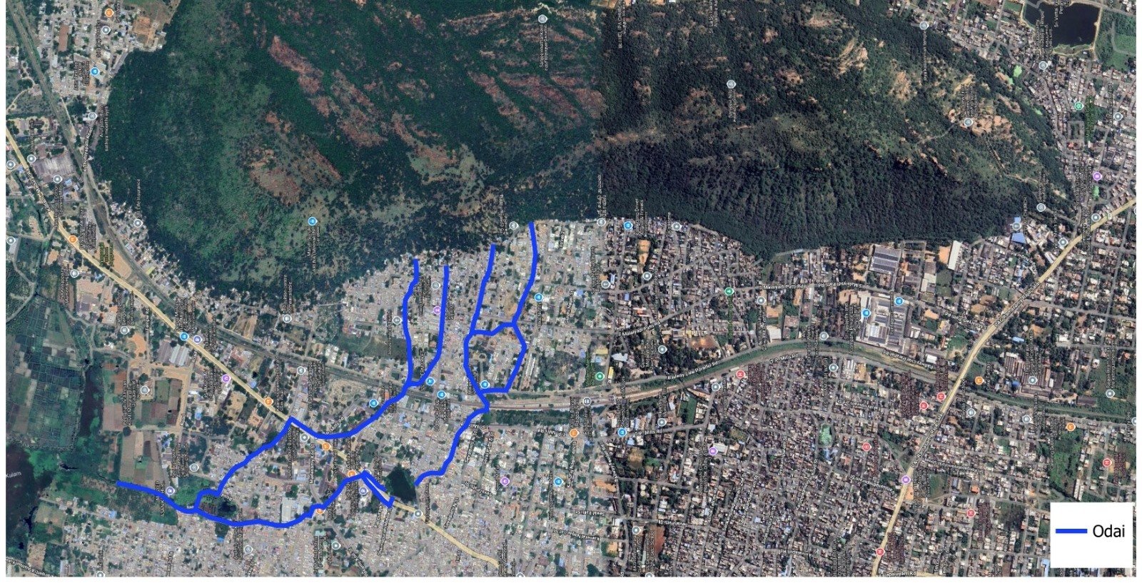 From Sanjeevi Hills to Alathankulam: City’s Important Stormwater Corridor