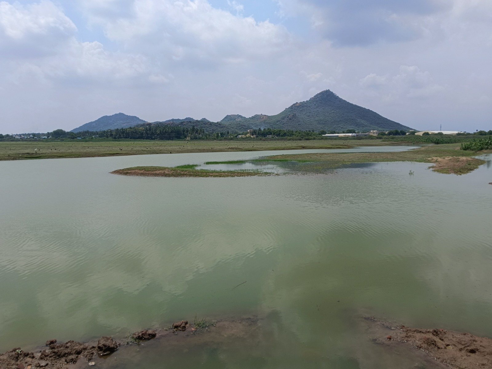 Recycled Water Keeps Kothankulam Kanmai Alive Through Summer