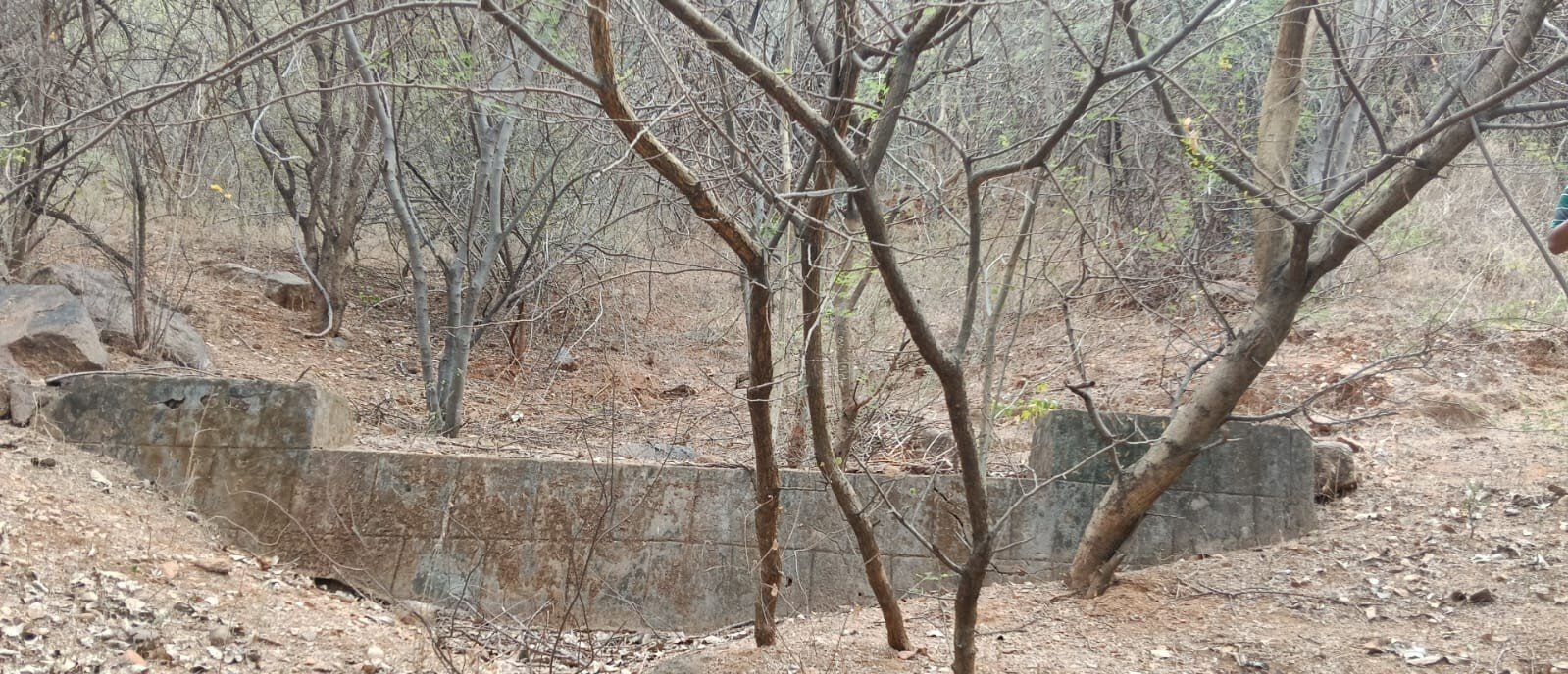 Sanjeevi Malai in Rajapalayam Protected Through Network of Check Dams