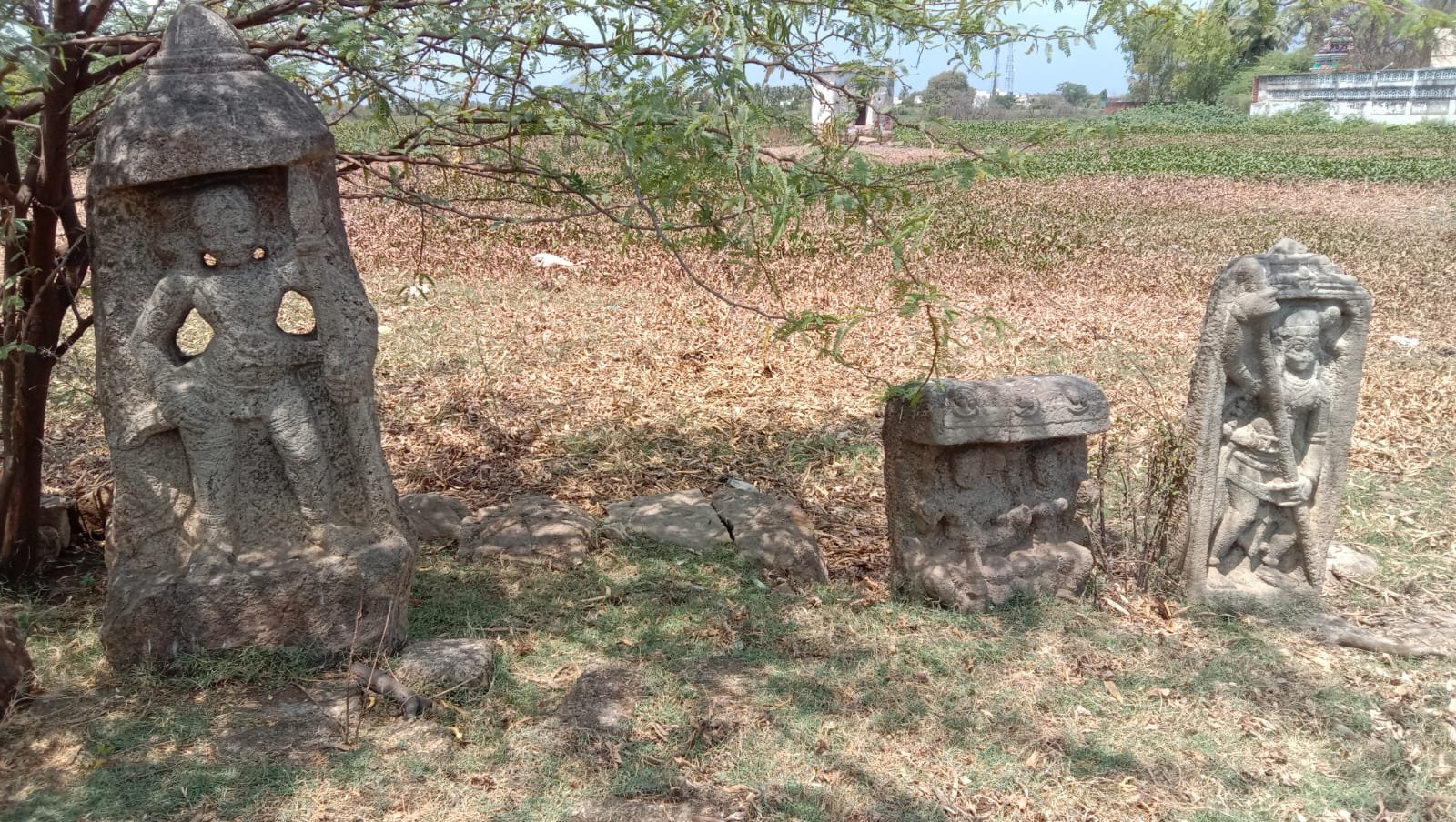 Frozen in Stone, Alive in History