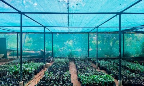 WhatsApp Image 2026-03-15 at 10.09.32 PM (3)