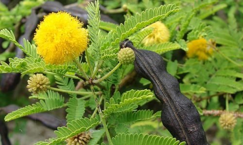 WhatsApp Image 2026-03-15 at 10.09.32 PM