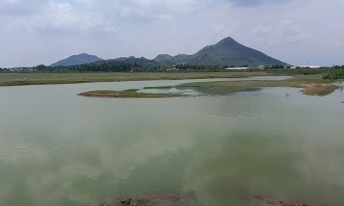 kothankulam